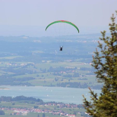 Ferienwohnung Weber Alpenglueck レヒブルック エクステリア 写真