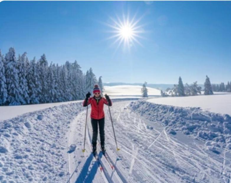 Ferienwohnung Weber Alpenglueck レヒブルック エクステリア 写真